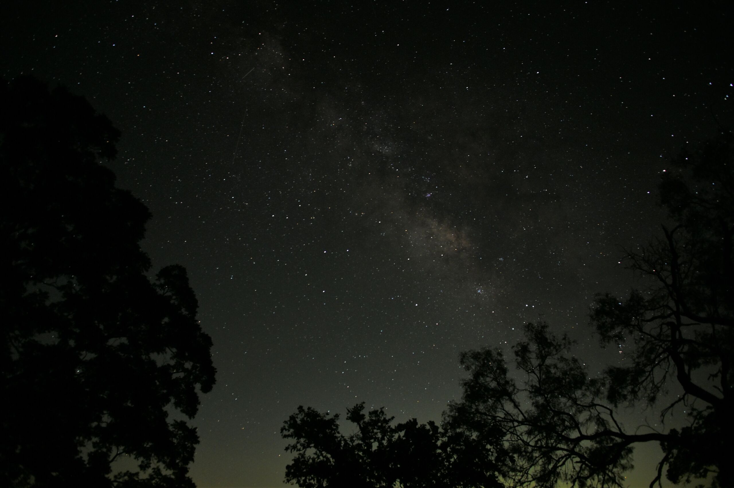 Starry sky above LBJ NHP.