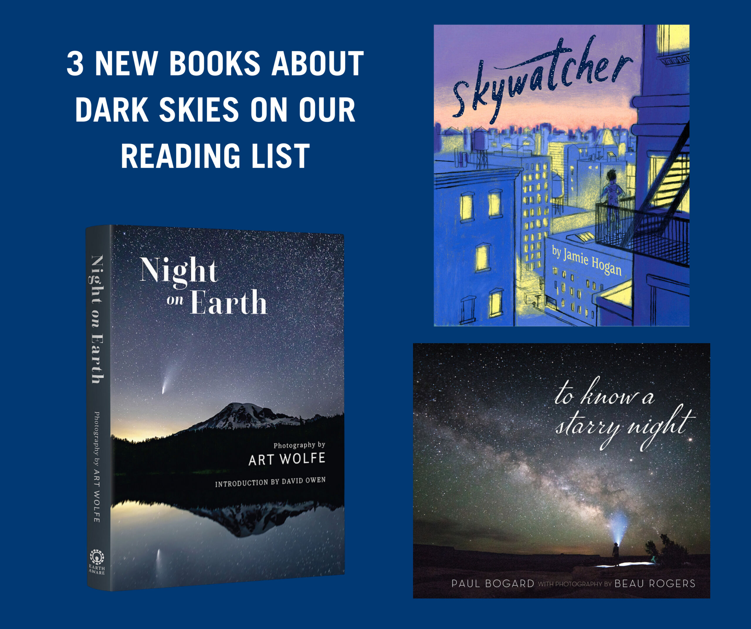 Dark Sky [Book]