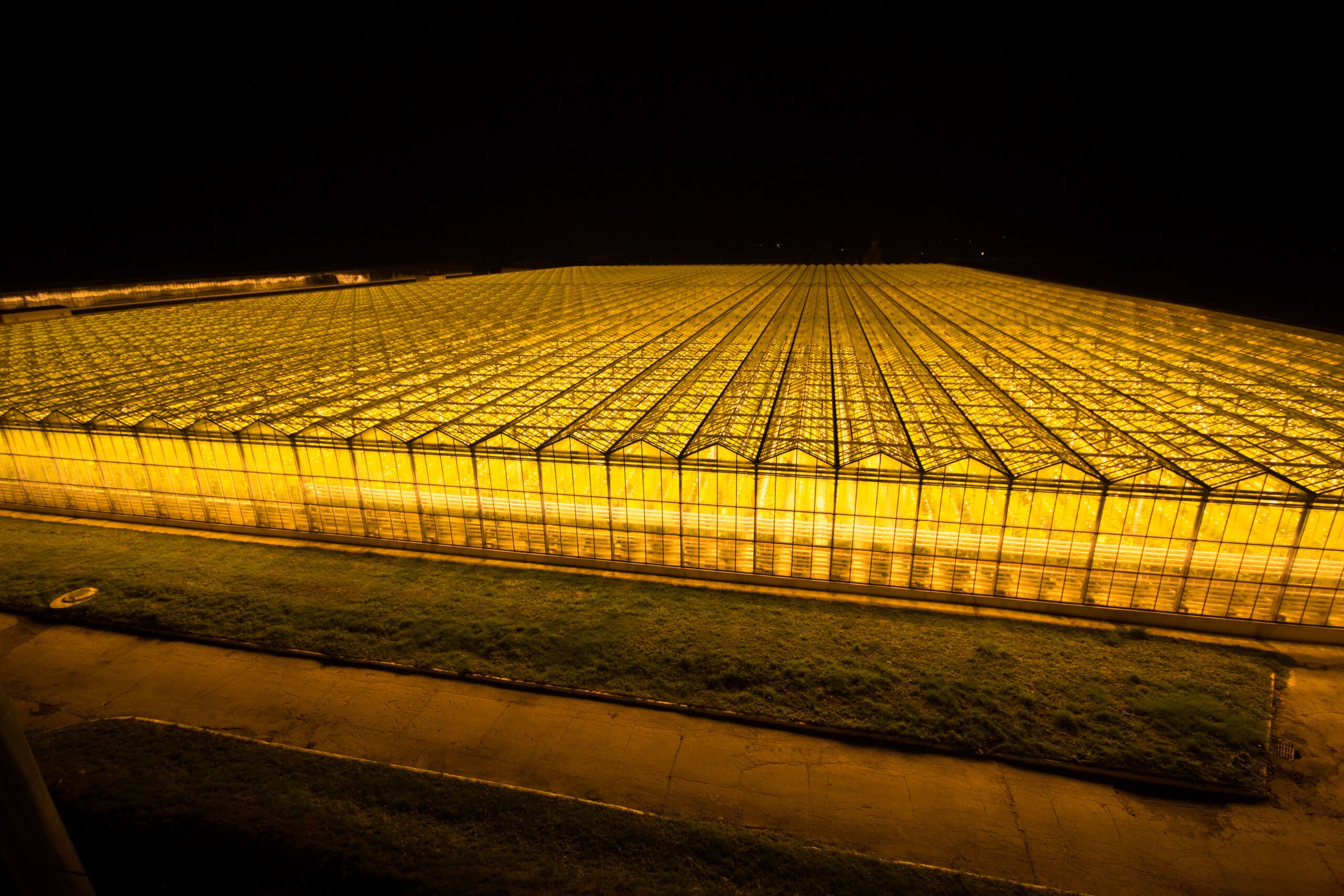 https://darksky.org/app/uploads/2023/04/greenhouses-Industrial-size-greenhouse-operations-can-emit-enormous-amounts-of-light-pollution.-Credit-Alexandr-Bochkarev-shutterstock_1723240186-scaled.jpg
