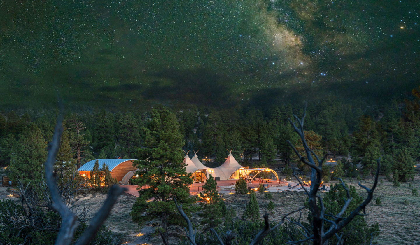 Tent lodge surrounded by pine trees beneath a star filled night sky.