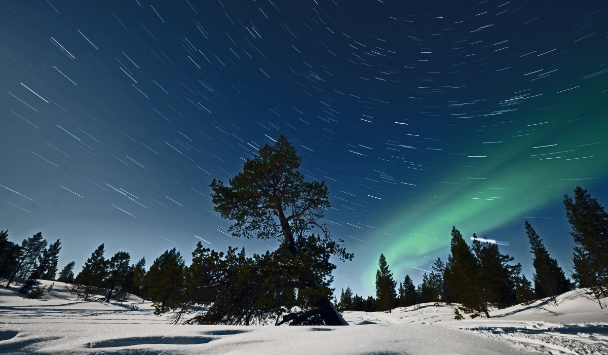 Star trails, Full moon and Northern lights, Øvre Pasvik National Park.