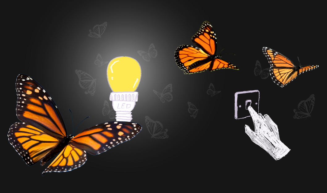 Monarch butterflies flying towards light.