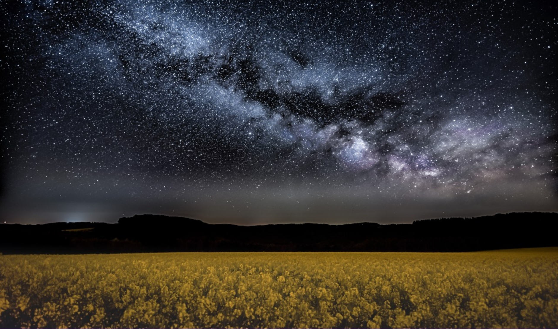 Field of yellow flowers under the Milky Way