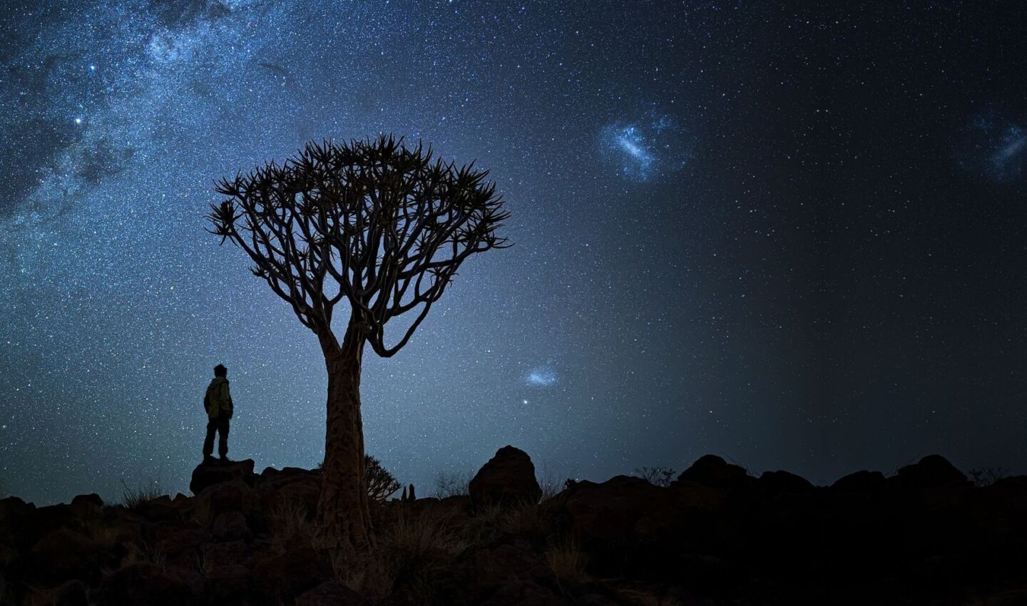 Silhouette of a person standing on rocky terrain beside a quiver tree beneath a brilliant, star-filled sky with the Milky Way arching overhead. The deep night sky reveals dense star fields and faint galaxies, highlighting the stark desert landscape against the glow of the cosmos.