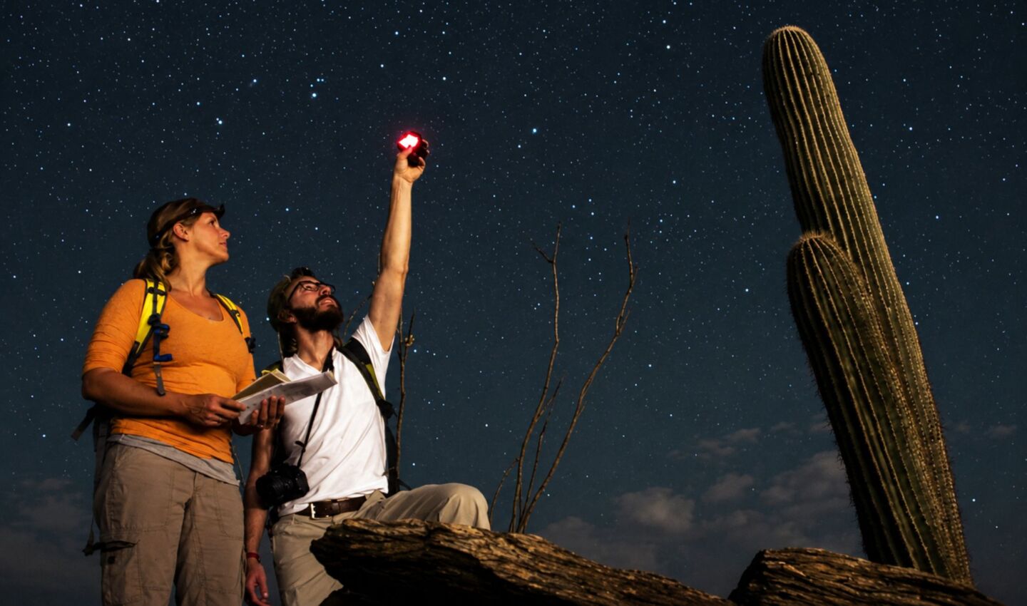 Two people stand beneath a star-filled sky in the Sonoran Desert, using a red light and field notes to observe and measure night sky conditions. A towering saguaro cactus rises beside them, illustrating community science efforts to monitor and protect natural darkness.
