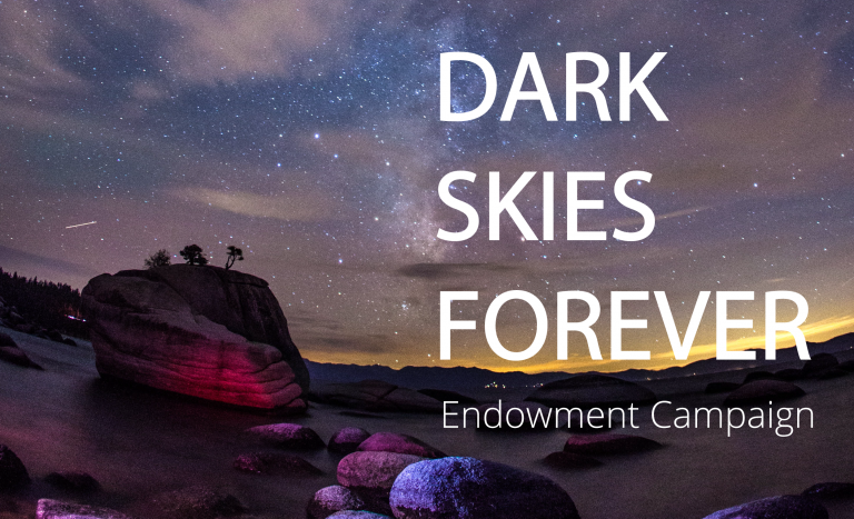 forever skies early access